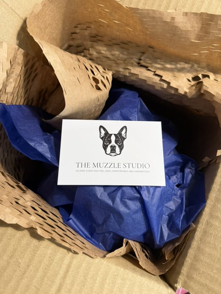 The Muzzle Studio card in a box with blue tissue paper